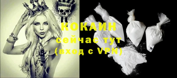 твердый Касимов