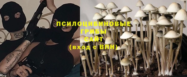 мескалин Карпинск