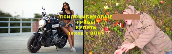 твердый Касимов